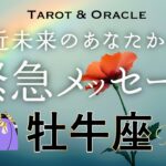 【牡牛座♉️見た時がタイミング】あなたに最大級の祝福を💐近未来のあなたから優しい愛の鞭💌ズバリお伝えします🙏