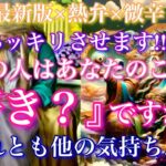 【最新版×熱弁×微辛❤️‍🔥】ハッキリさせます。あの人はあなたのこと『好き』ですか？それとも…🦋