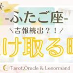 ふたご座2025年5月後半🍵　吉報続出？！【受け取る時！】　西洋占星術×カードリーデーィング