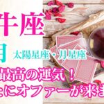 【牡牛座♉️5月】今最高の流れがやってくる❣️オファーが来たら受けてくださいね