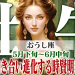 【おうし座5月下旬〜6月中旬】内面と向き合い進化する時｜賢明な判断力が光る！【癒しの眠れる占い】