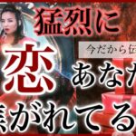 【🩷いろいろ聞いてみました🔑】💘猛烈にあなたに恋焦がれてる人✨今だから伝えたい💌