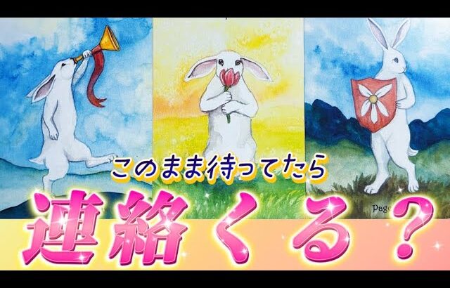 【胸熱🥹】あの人から連絡くる？今の気持ち💗ガチ本音❤️音信不通　連絡待ち　復縁　個人鑑定級✨タロット