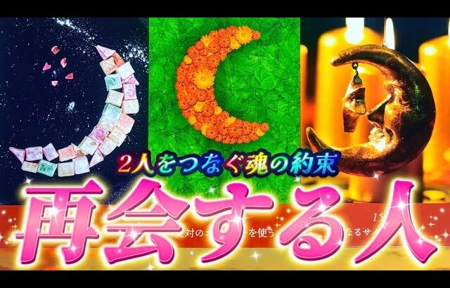 【⚠️神回】あの人との再会は約束されています🥲また繋がるあの人の気持ち💖本音❤️運命の流れ　個人鑑定級タロット