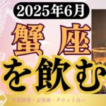 【蟹座】2025年6月かに座の運勢「毒を飲むな」タロットと占星術で鑑定