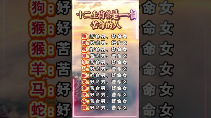 十二生肖你是一個苦命的人