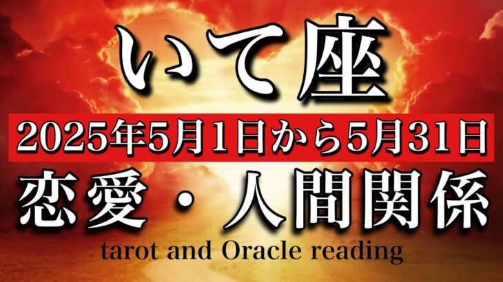 【恋愛・人間関係タロット】いて座♐︎2025年5月1日から31日まで💫構えなくて良し🧚‍♂️ゆっくり歩み寄れる🌱