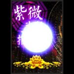 紫微斗数案例解析
