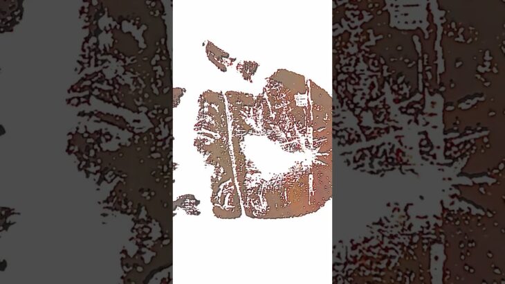 手相 ますかけ線 片手 両手 概要欄を最初に🆑