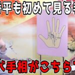 芸能人でも見たことない⁉️衝撃のレア手相がこちら‼️【島田秀平,ラファエル】