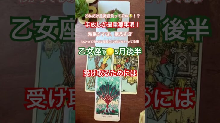 【乙女座♍︎】×【5月後半】 #乙女座 #占い #tarot #オラクルカード #タロット #星座別