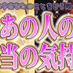 【リアルな本心🕊️相手の気持ち】片思い複雑恋愛タロットカードリーディング💫個人鑑定級占い🔮