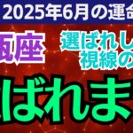 【水瓶座】2025年6月のみずがめ座総合運✨なぜ今、あなたが選ばれるのか？