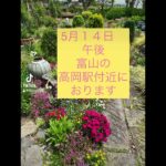 #占い #チャンネル登録お願いします #手相 #対面鑑定ご希望#富山#高岡駅