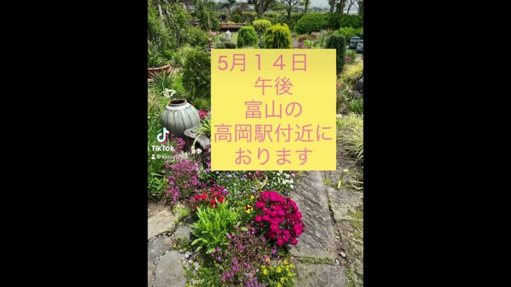 #占い #チャンネル登録お願いします #手相 #対面鑑定ご希望#富山#高岡駅