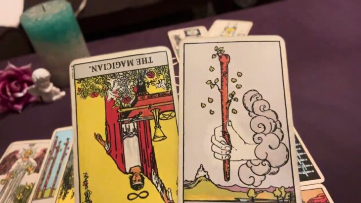 【タロット占い】射手座♐️2025年5月の運勢🔮sango tarot reading