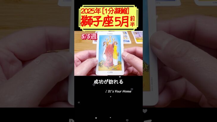 獅子座♌️5月前半【1分凝縮版】→フル動画はこの上、▶︎のリンクから🧚 #タロット占い #運勢 #星座 #恋愛 #仕事 #5月 #占い #5月前半 #2025 #獅子座 #しし座 #leo