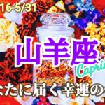 【山羊座】5月後半／ここから人生が加速する！何か大きな影響を与える人がいます😎✨【運勢】【タロット】【やぎ座】