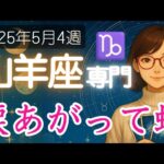 【やぎ座♑️週間占い5月19日～】どしゃ降りに後には、きっと美しい虹が見える🌈山羊座の運勢占い 2025年