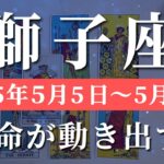 獅子座 【 しし座 ♌ 】週間リーディング( 2025年 5月5日の週)わくわくが導く神展開！信じられない展開が始まる✨🔑 獅子座 タロット占い