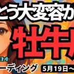 【牡牛座】♉️2025年5月19日の週♉️大変容が来た‼️スッキリさせた後、新しい旅が始まる😊おうし座。タロットリーディング🍀