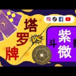 【#趣谈占星｜#紫微斗数】#塔罗牌 vs 紫微斗数 哪个比较准 #紫微斗数 #命盘分析 #塔罗占卜 #运势 #紫微 #占卜 #命运