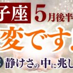 【双子座さん】2025年5月後半から6月前半の「ふたご座」〜大変です！ 静けさの中に兆しが〜