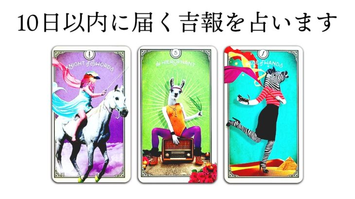 やったー🎊【タロット占い】１０日以内に届く吉報を全力で占いました🔮✨おめでとう㊗️✨【タロット・ルノルマン・オラクル・占い】見た時がタイミング🧅🪺