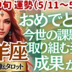 【♑山羊座さん💖5月中旬運勢】〈今世の課題に向き合っている貴方に素敵な実りがやってくる🍎これまでの重荷から解放され愛に包まれる💖〉 人生幸転タロットリーディング 占い やぎ座 太陽星座・月星座
