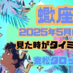 【蠍座】2025年5月の運勢✨見た時がタイミング✨豊かさを共創してゆく✨