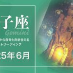 【ふたご座】奥の手・必殺技？・目標に向け前進●2025年6月タロットリーディング【音声なし】【双子座】