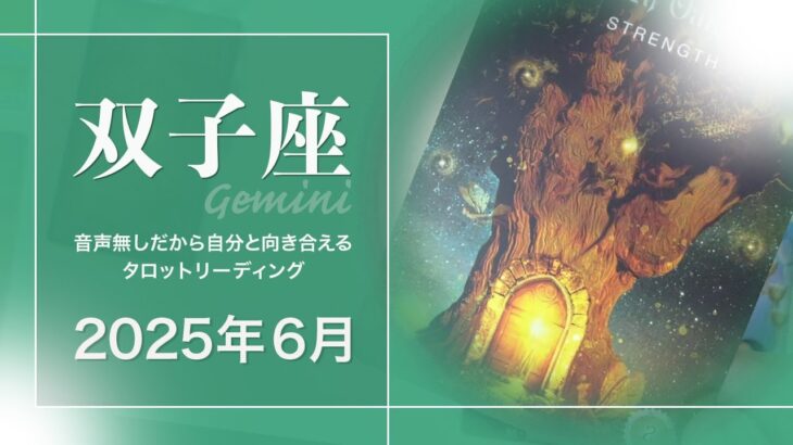 【ふたご座】奥の手・必殺技？・目標に向け前進●2025年6月タロットリーディング【音声なし】【双子座】