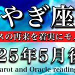 やぎ座♑︎2025年5月後半 復活💫チャンスの再来を着実にモノにする🧚Capricorn taro reading