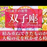 【双子座】6月前半／誰にも真似出来ない、あなただけの魅力や才能が花開く！【運勢】【タロット】【ふたご座】