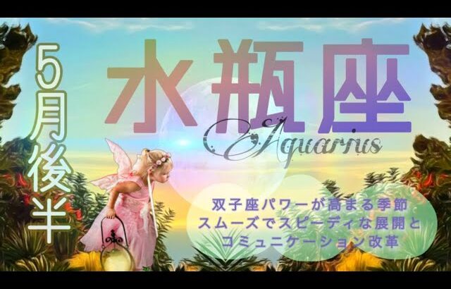 【5月後半✴︎水瓶座】過去からの想いを決めていく時✴︎粘り強さの先に待っている希望🪐【2025】