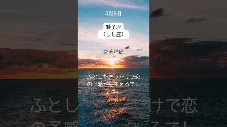 【5月9日 今日の獅子座（しし座）】恋愛運・幸運のカギは・・・？｜星の語り手・流星廉💫｜無料鑑定プレゼント中🎁