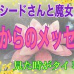 ＊単発リーディングで復帰リーディングではありません🙏＊【数秘術占い師のカードリーディング】