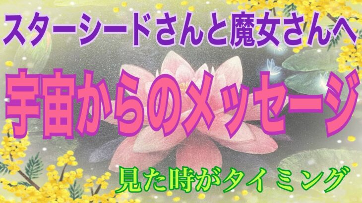 ＊単発リーディングで復帰リーディングではありません🙏＊【数秘術占い師のカードリーディング】