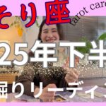 【さそり座】2025年下半期の運勢／人生で最高の下半期に㊗️喜びの虹が架かる！成功へ進む！