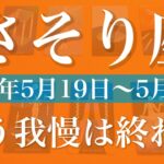 【さそり座】1週間の運勢（2025年5月19日〜5月25日）♏️1番暗い時は過ぎ去った！声が掛かる、クライマックス