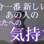 今一番新しい、あの人のあなたへの気持ち 【 恋愛・タロット・オラクル・占い 】