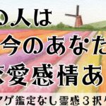 【見た時がタイミング🔔】相手は恋愛感情ある❓ツインレイ/ソウルメイト/運命の相手/複雑恋愛/曖昧な関係/復縁/片思い/音信不通/ブロック/未既読スルー/好き避け/恋愛/結婚/占い/リーディング/霊視