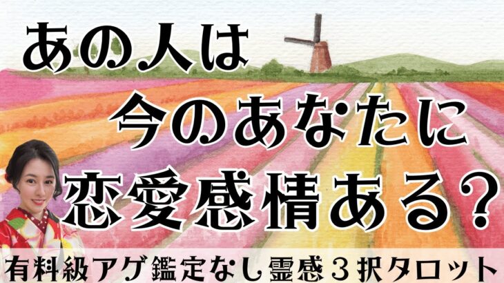 【見た時がタイミング🔔】相手は恋愛感情ある❓ツインレイ/ソウルメイト/運命の相手/複雑恋愛/曖昧な関係/復縁/片思い/音信不通/ブロック/未既読スルー/好き避け/恋愛/結婚/占い/リーディング/霊視