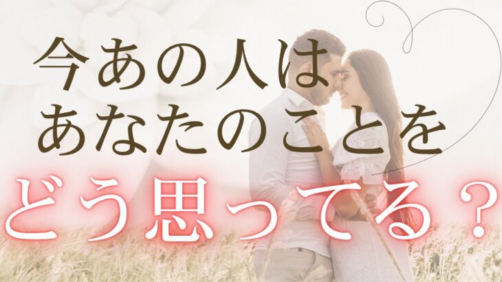 今あの人はあなたのことをどう思ってる？あの人が伝えたいこと 【 恋愛・気持ち・タロット・オラクル・占い 】