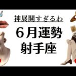 射手座、凄いことになったわ。奇跡みたいな神運気だわ。こんな結果滅多に見れない。2025年6月全体運勢♐️仕事恋愛不安解消・評価や印象【個人鑑定級タロットヒーリング】