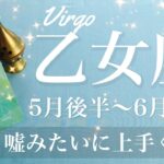 おとめ座♍️2025年5月後半〜6月前半🌝 全く別世界！今までってなんだったの？大きく前進、その先の世界が見えて来る