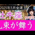 【おうし座♑️5月💰️金運】お金の流れに激変の兆しあり…❗️牡牛座の運勢 2025年