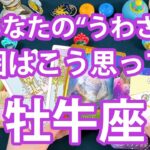 牡牛座 ♉【激ヤバ】周囲がしている”あなたのうわさ”。ここ最近のあなたは〇〇と思われてる‼︎印象、職場・コミュニティ・家族・友人・異性からの噂本音を深掘り‼︎当たります『タロット・オラクル・ルノルマン