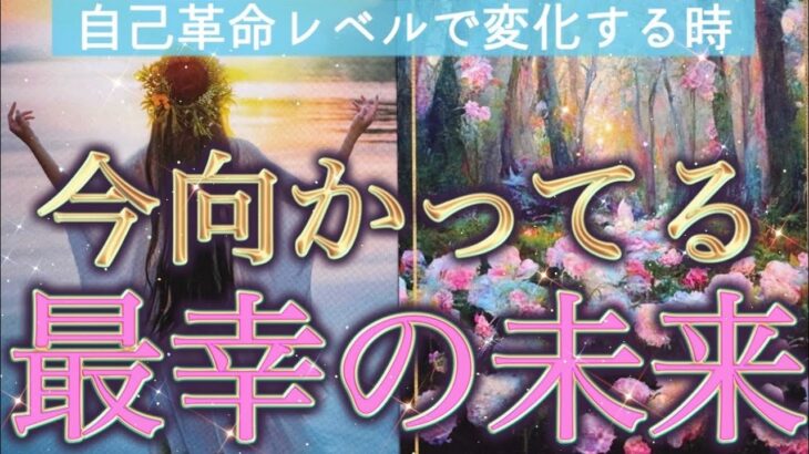 【神回❤️】今、あなたが向かっている最幸の未来✨選択肢○さんに訪れる神展開がすごすぎた😳🌈個人鑑定級深掘りリーディング［ルノルマン/タロット/オラクルカード］