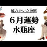 何これ？水瓶座、神展開すぎて目を疑う。過去最高の６月になるぜ～～～2025年6月全体運勢♒️仕事恋愛不安解消・評価や印象【個人鑑定級タロットヒーリング】